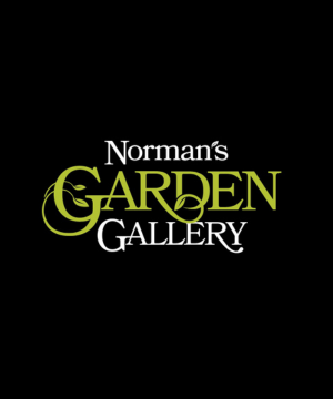 Norman’s Garden Gallery